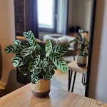 Bed & Breakfast Q-time Barvaux, Durbuy-adults Only Durbuy