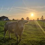 Bed & Breakfast Q-time Barvaux, Durbuy-adults Only