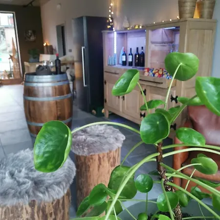 Bed & Breakfast Q-time Barvaux, Durbuy-adults Only 4*