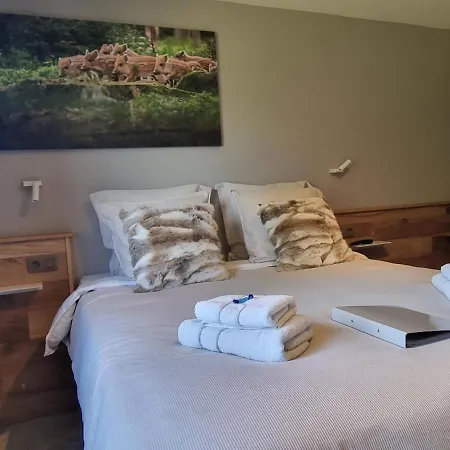 Bed & Breakfast Q-time Barvaux, Durbuy-adults Only