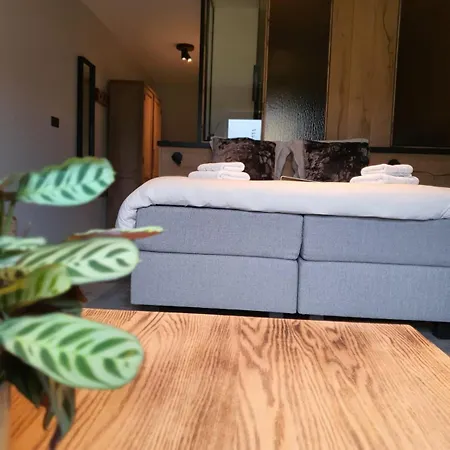 Q-time Barvaux, Durbuy-adults Only Frühstückspension