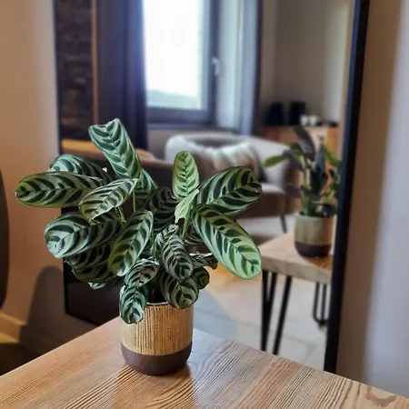 Frühstückspension Q-time Barvaux, Durbuy-adults Only Durbuy