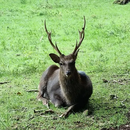 Q-time Barvaux, Durbuy-adults Only 4* Durbuy