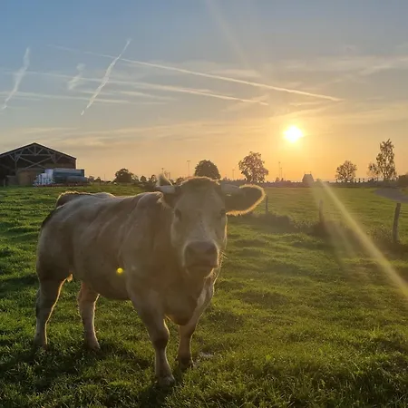 Frühstückspension Q-time Barvaux, Durbuy-adults Only