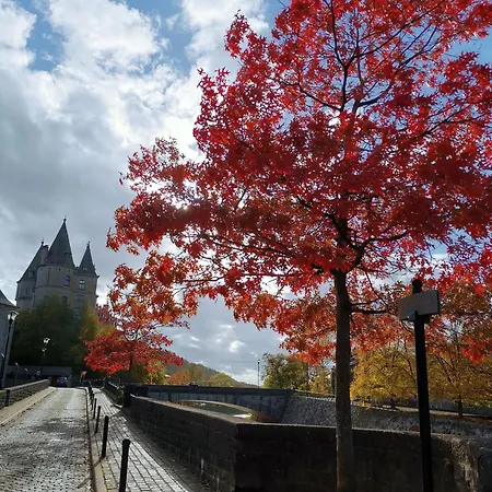 Bed & Breakfast Q-time Barvaux, Durbuy-adults Only