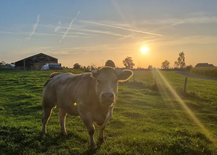 Bed & Breakfast Q-time Barvaux, Durbuy-adults Only